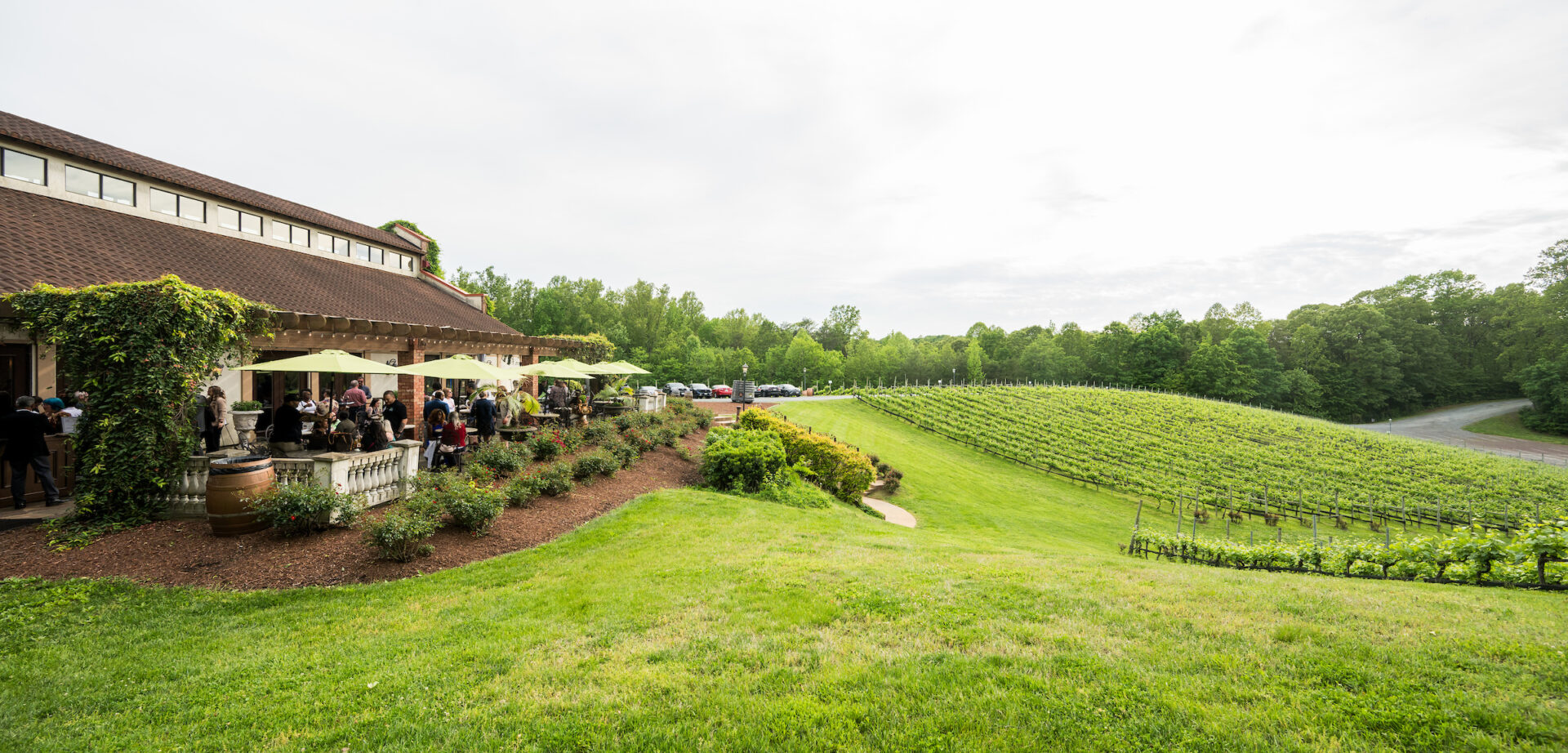 A scenic view of a vineyard with rows of grapevines stretching across a gently sloping hill under a cloudy sky. On the left side, people are gathered on a covered patio of a rustic building, enjoying an outdoor event with green umbrellas for shade. The surrounding area is landscaped with bushes and flowers, and the background is framed by lush green trees and a winding road.